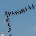 E99a77a6ff4928bc6333d7d1ab5911b7