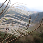 21c42fe06c4a80a0af62ab459bb150a1