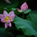 E30ae1f4ddef76f36b8abab2465a1c16