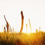 F28b52a7acab567b75f46f4620c923c1