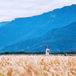 91be968b7cf1329516a88957b339155c