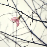 9d355fbf3ff5c1369691b8f4214cc524