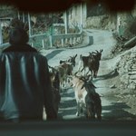 D2a5de9a62f029fbdb268eabbcc1dd62