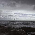 9c6f07e9ec7d6885d69ab4f5dc56a2fc