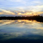 3f8fe7ade8d22f500ee2507514d7f46e