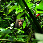 Dccc1963a62e268163b1497d37d536e0