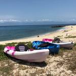 Ae166b844f43e439418dff1567149e19