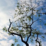 F915b87245890699a90dbccff0bb21e3