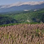 7b5627021357e5a8e395602329c2f167