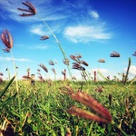 D3ef9d10517b57cb803b22afbb4ce04b