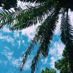 713da7ee7e65ed5e4b3d405cf3e2e09a