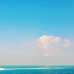 909d1b4a12722b591a5ddfde5c39d501