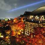 12490e634b310320711e228d1b8dbe1c