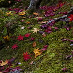 8d88fea1c82c5ebe926609bf88284a69