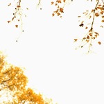 5c9cc28166745e33168ba7d7a0004a6e