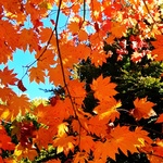 4f87993eb65b7181573b4801a4dfcb86