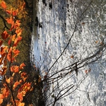 6594954e2eb5e2461f23da745e0b2103