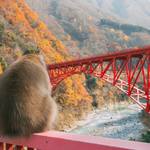 549480fc1b487c7c391af553ed805087