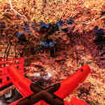 Fb04938edd114e999c156eb8ba3d8e70