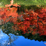 E8050f98d91cdf6821b40d72b4ff942a