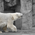 6dd7831d72d10fa620ea58843b2a5483