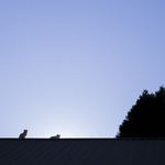 9d135fc8b7835fb1b540a663966b88be