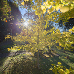 C741ce9645e67a4caf076de6cea9eb2d