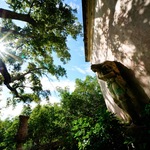 F7e24e05d36617f44d14417fc8c7d26e