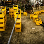 446916ff568c05f5c5b09f1de494800b