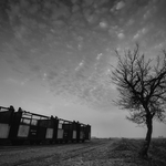 263f5128571086e74e5a33e171842359