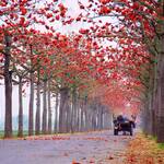 D452d65059808e09f4f375204658ad20