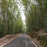 8b50bcaf2710d41e12f48c8aaf1e298f