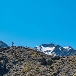 Fe5d5ad7d737baa2020d8b9454323d29