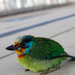 F82f3fe1b48f66f116e54bda8f0ec30a