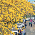 C3429049d654f53769f87dc0f059099a