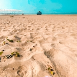 0095e55ed057d1b2b26520f7c0929240