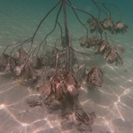 98a170354b763c703fdad83107d3b397