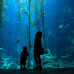 8a70d7213100b41a03f2238fad11c8b2