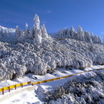 9fa7346522aaa392d22b81842f8c5ebd