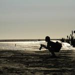 C1f29fa042d602538c6daa0fd611b211