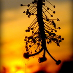 A2f53ee528653bd899aa25335aff9e07