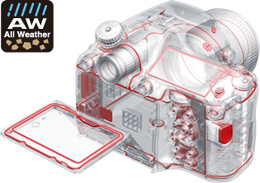 Pentax 645Z 中片幅王者登場，超越全片幅的驚人影像實力| DIGIPHOTO