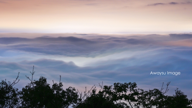 頂端雲海景色，頂端可惜之處就是觀景前方樹都太高。▲路邊雲海隨處可得。