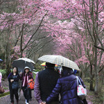 F0ab924847cfed015e404c5637a0d061