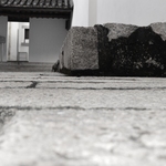 Be9f2766e7263747d7d15f15cf61e3b1