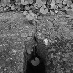 01704505c812737777ae3e2f244a654b