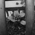 01d6f0ded9309cedaace1640a7862768