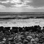 63c800f18a5c7ea234fb4217417ff949