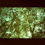 3535282d8c19ebe8d44483dadcdb25f0