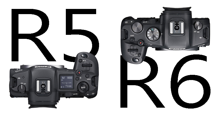 追焦能力再升級！Canon發佈EOS R5 / EOS R6最新韌體 Ver.1.5.2